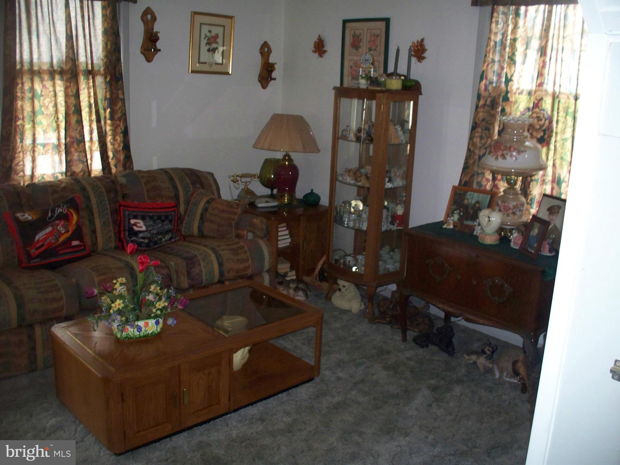 10117 Hummingbird Street Ellerslie, MD 21529 - Photo 15 of 30 Living Room