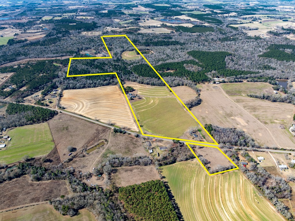 11034-11134 Cty Road Slocomb, AL 36375 - Photo 2 of 80