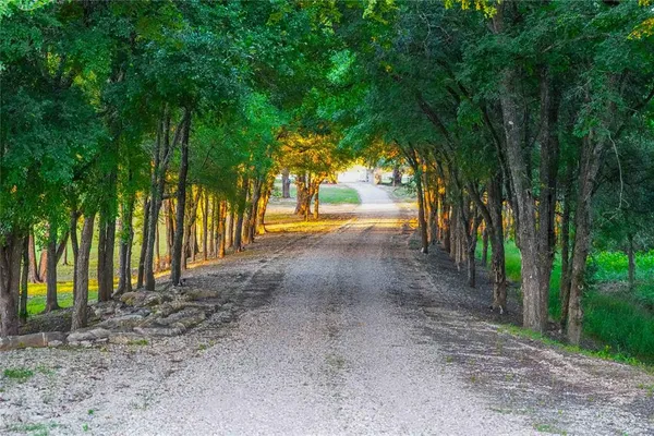 a view of road and trees