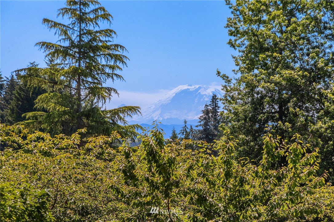16219 Tiger Mountain Road Southeast Issaquah, WA 98027 - Photo 5 of 25 Gallery Image 5