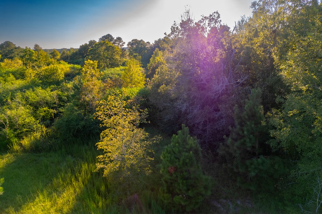 2226 Randall Wade Road Headland, AL 36345 - Photo 27 of 60