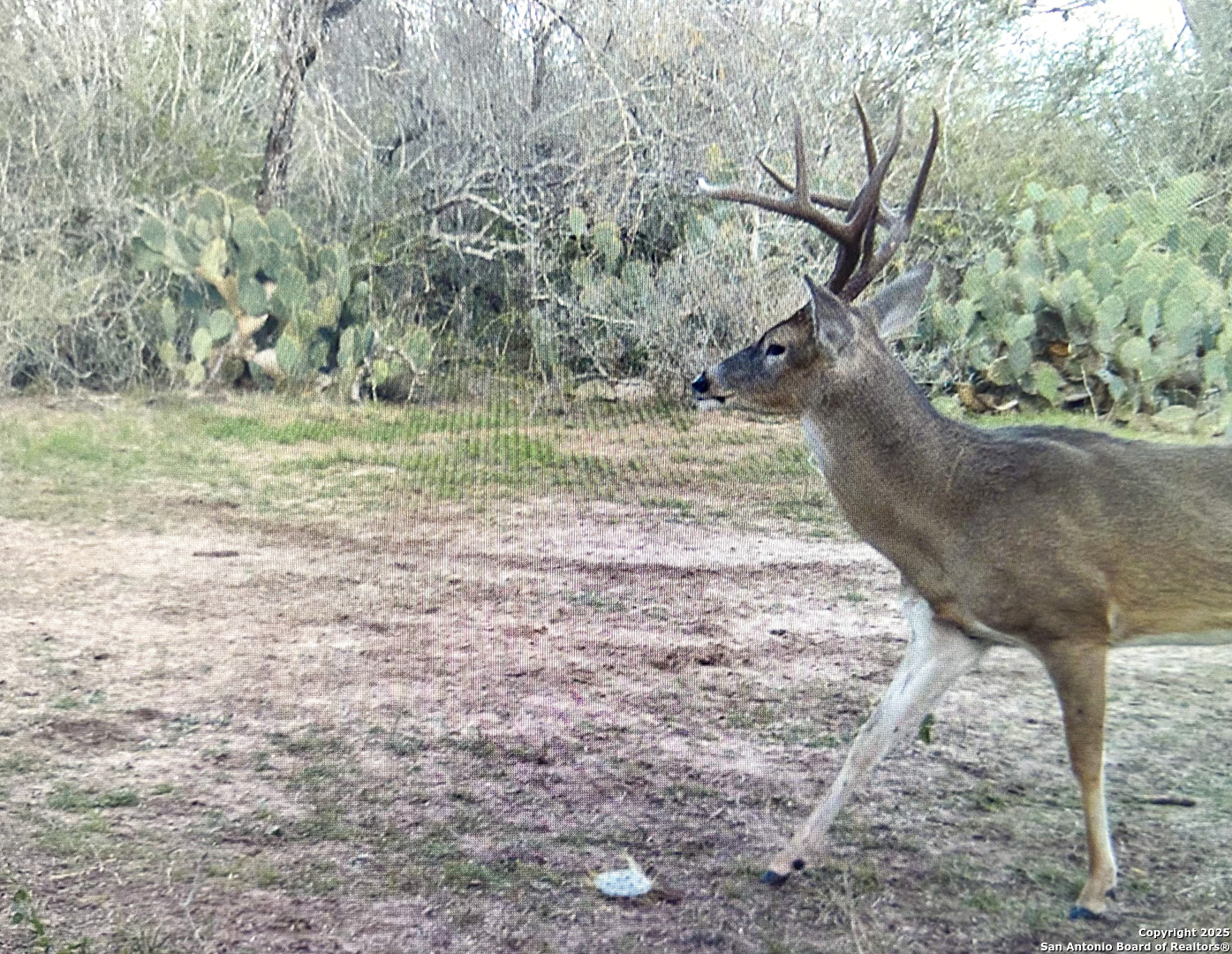 0 Rockhill Road Kenedy, TX 79119 - Photo 14 of 18