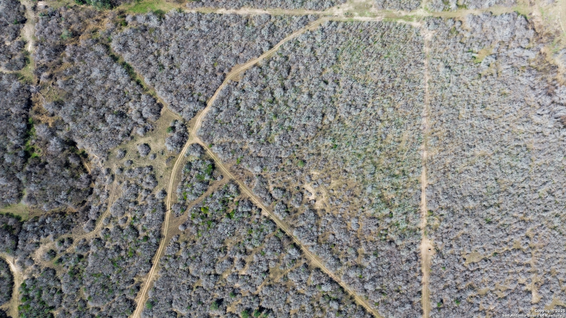 0 Rockhill Road Kenedy, TX 79119 - Photo 3 of 18