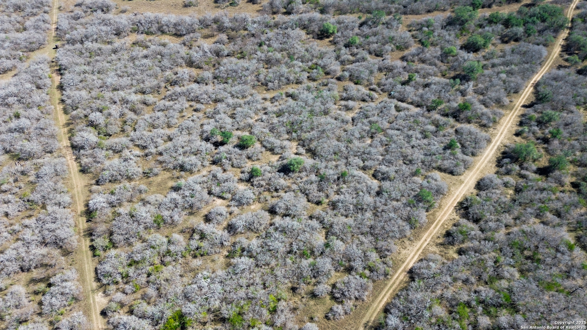 0 Rockhill Road Kenedy, TX 79119 - Photo 5 of 18
