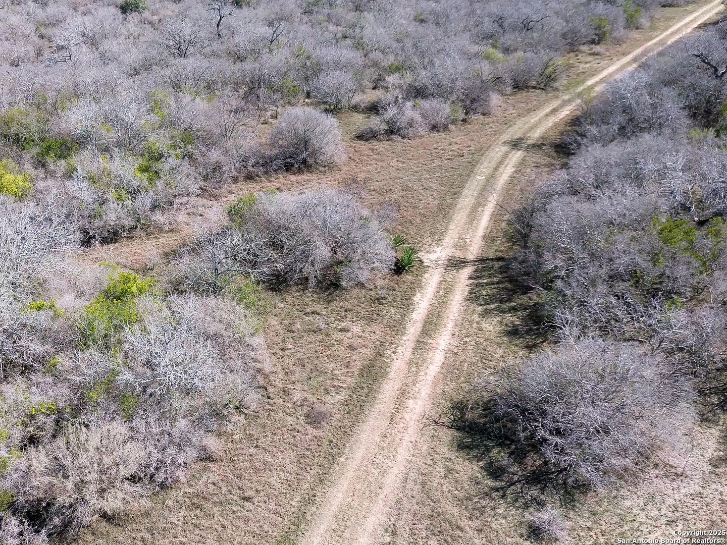 0 Rockhill Road Kenedy, TX 79119 - Photo 6 of 18