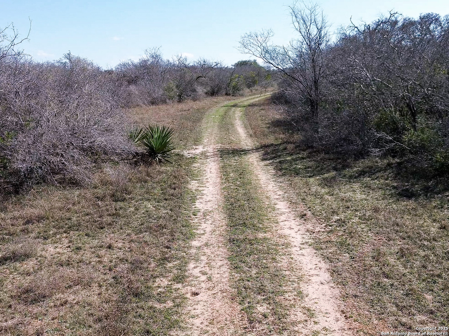 0 Rockhill Road Kenedy, TX 79119 - Photo 7 of 18