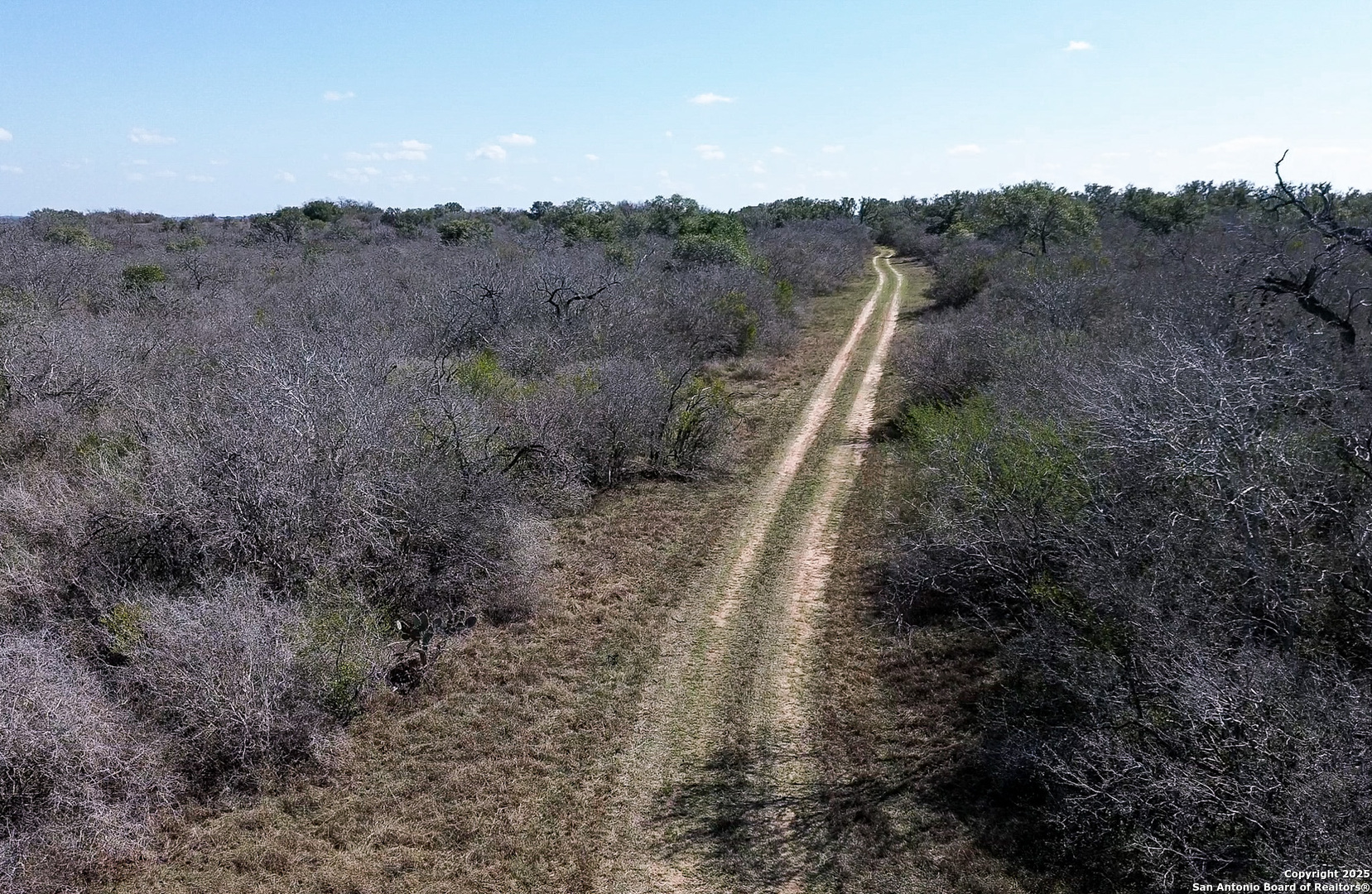 0 Rockhill Road Kenedy, TX 79119 - Photo 8 of 18
