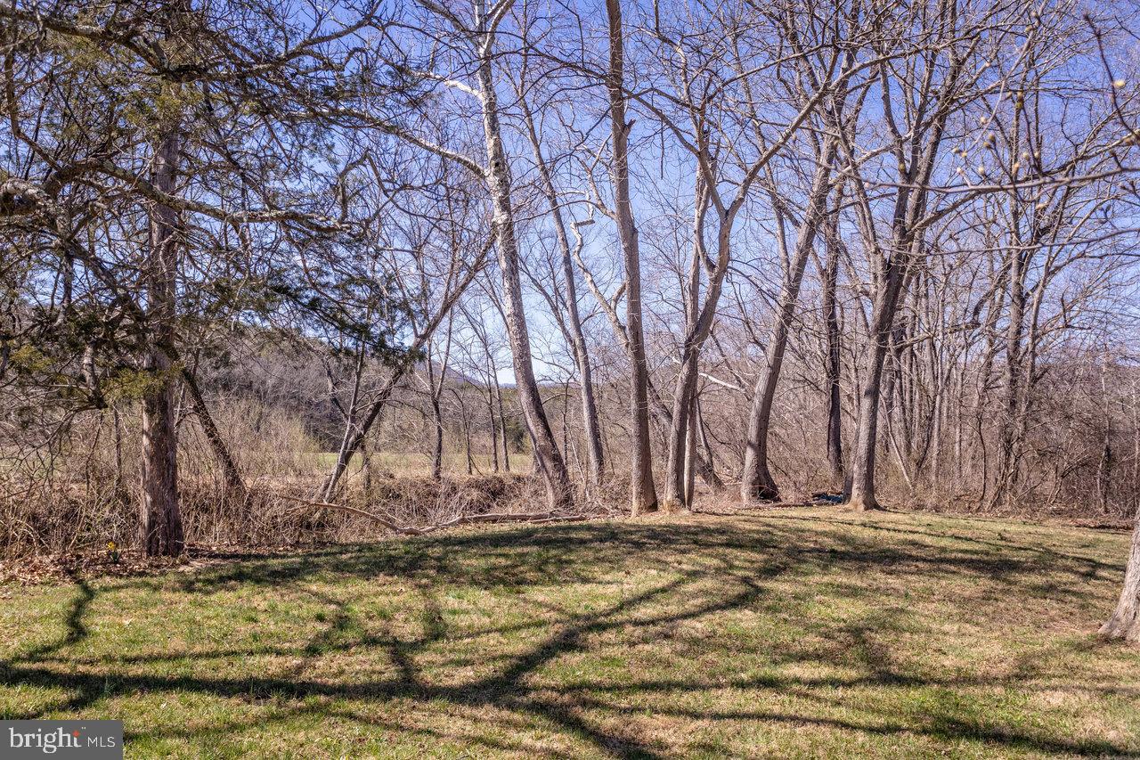 2435 7 Fountains Road Fort Valley, VA 22652 - Photo 63 of 74 Gallery Image 63
