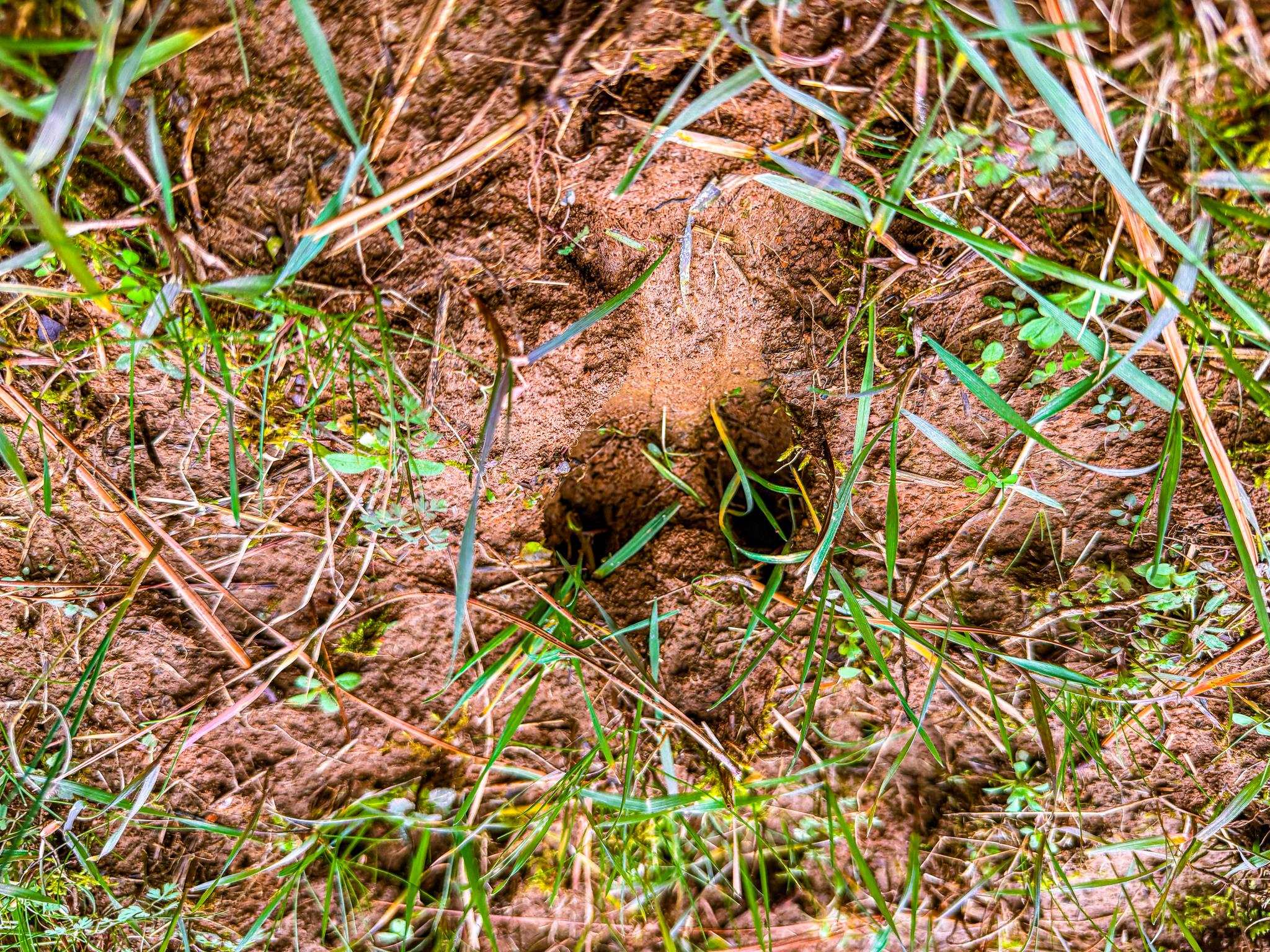 0 Jones Mill Crossland Road Puryear, TN 38251 - Photo 13 of 40 Detailed view