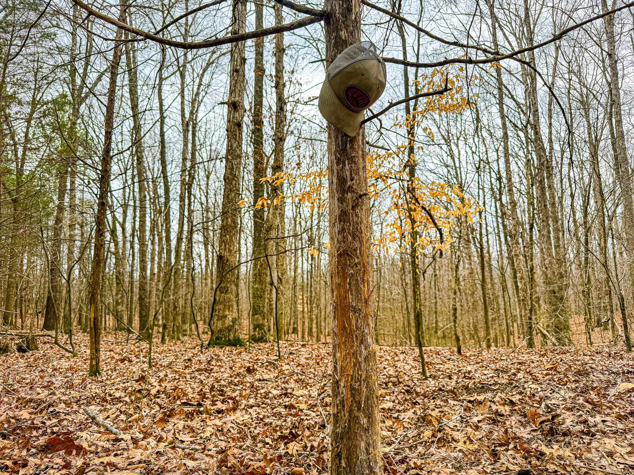 0 Jones Mill Crossland Road Puryear, TN 38251 - Photo 15 of 40 a bathroom with a shower and a wooden floor
