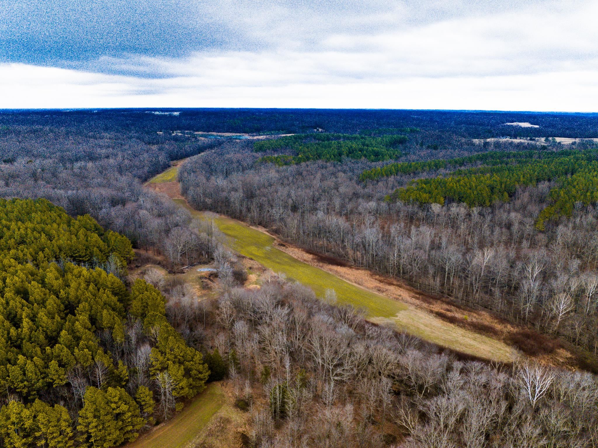 0 Jones Mill Crossland Road Puryear, TN 38251 - Photo 18 of 40 a view of a yard with an ocean