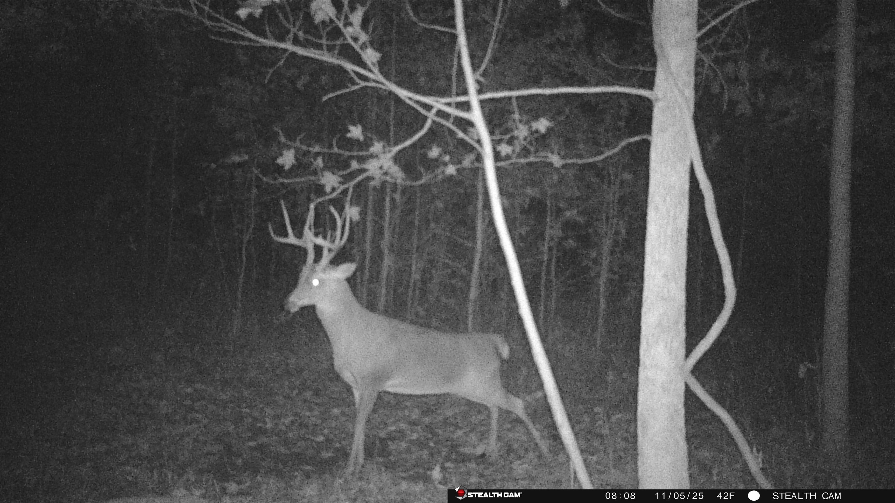 0 Jones Mill Crossland Road Puryear, TN 38251 - Photo 19 of 40 Map / location