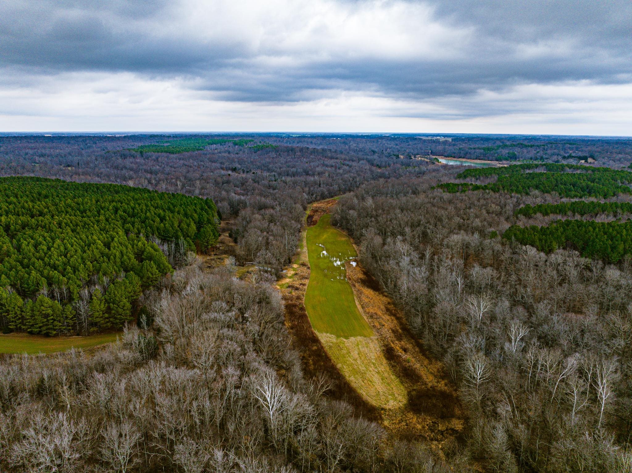 0 Jones Mill Crossland Road Puryear, TN 38251 - Photo 2 of 40 a view of a city