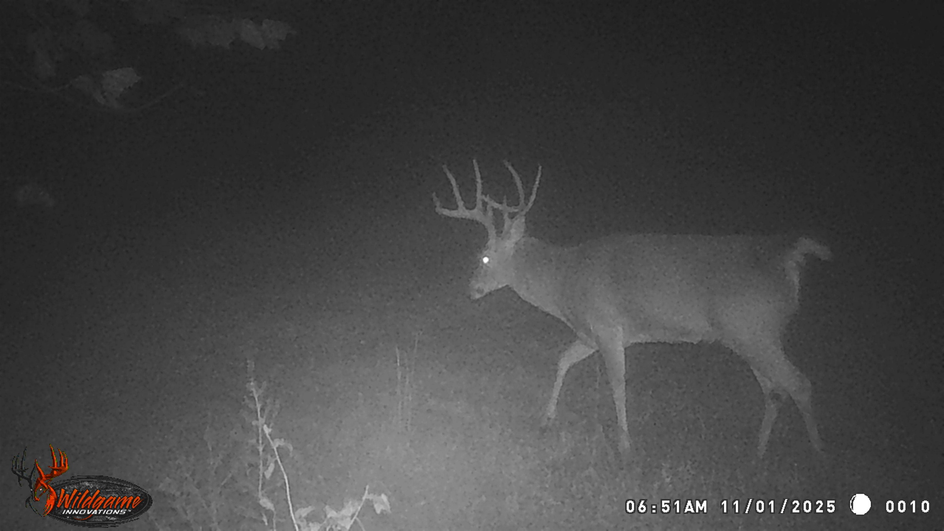 0 Jones Mill Crossland Road Puryear, TN 38251 - Photo 21 of 40 a view of small space