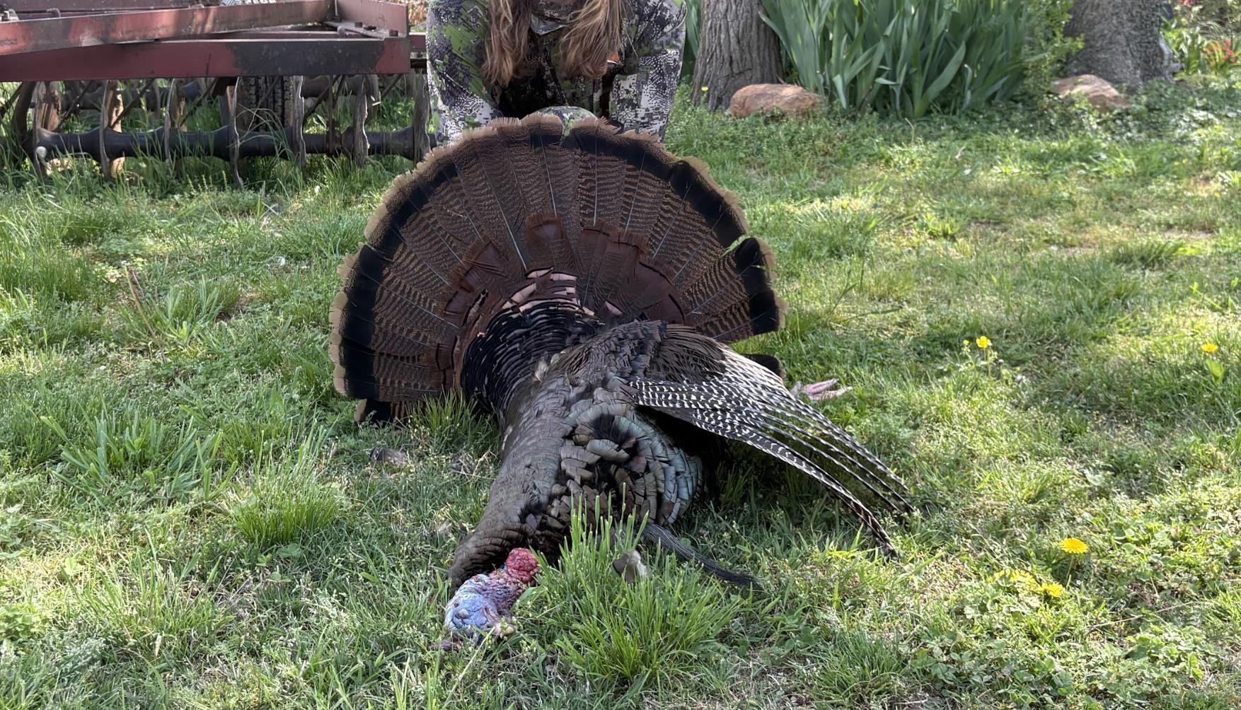 0 Jones Mill Crossland Road Puryear, TN 38251 - Photo 24 of 40 a aerial view of a house