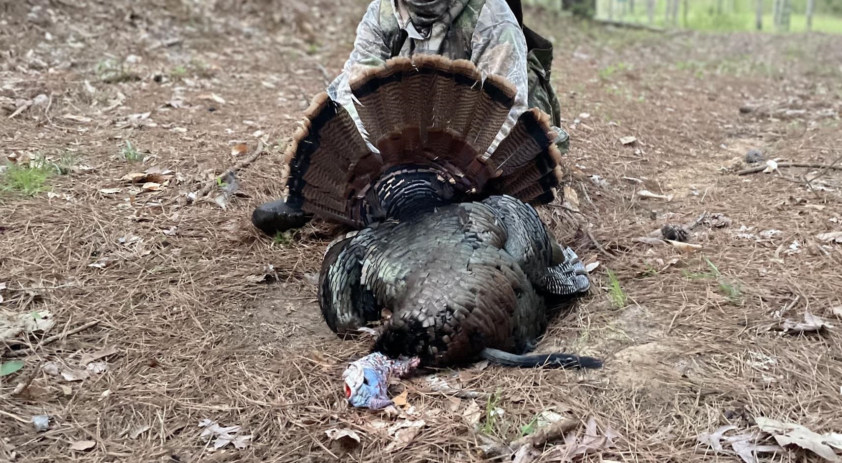 0 Jones Mill Crossland Road Puryear, TN 38251 - Photo 25 of 40 a view of painting on the wall