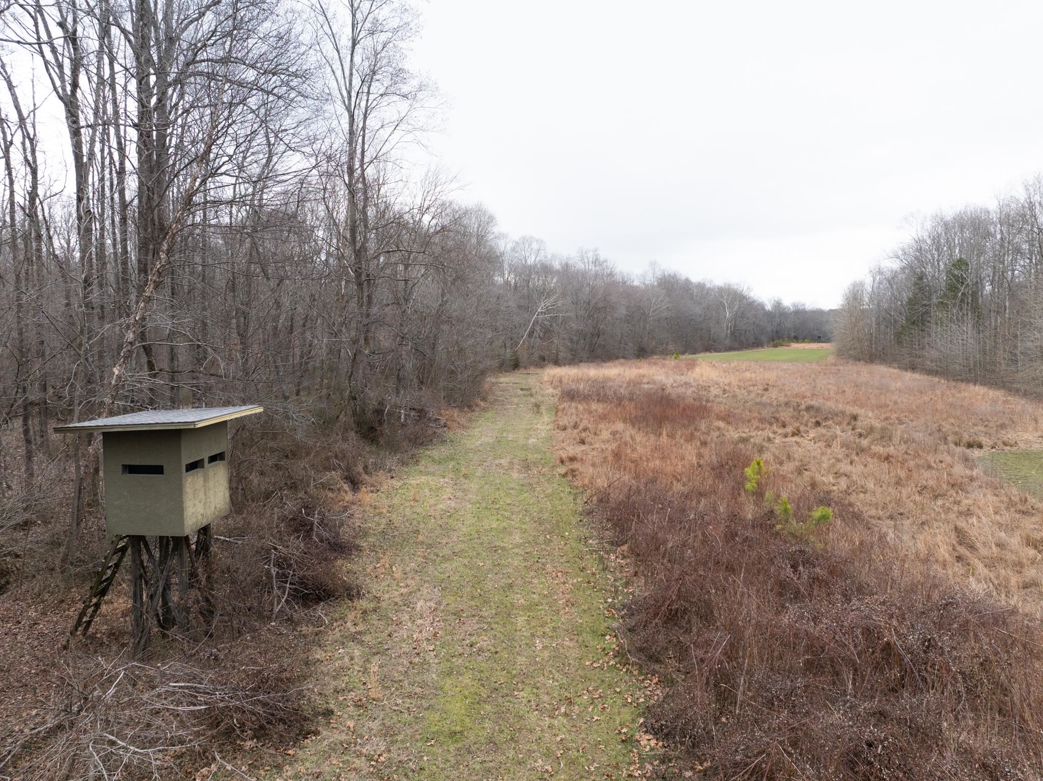 0 Jones Mill Crossland Road Puryear, TN 38251 - Photo 27 of 40 a view of a yard