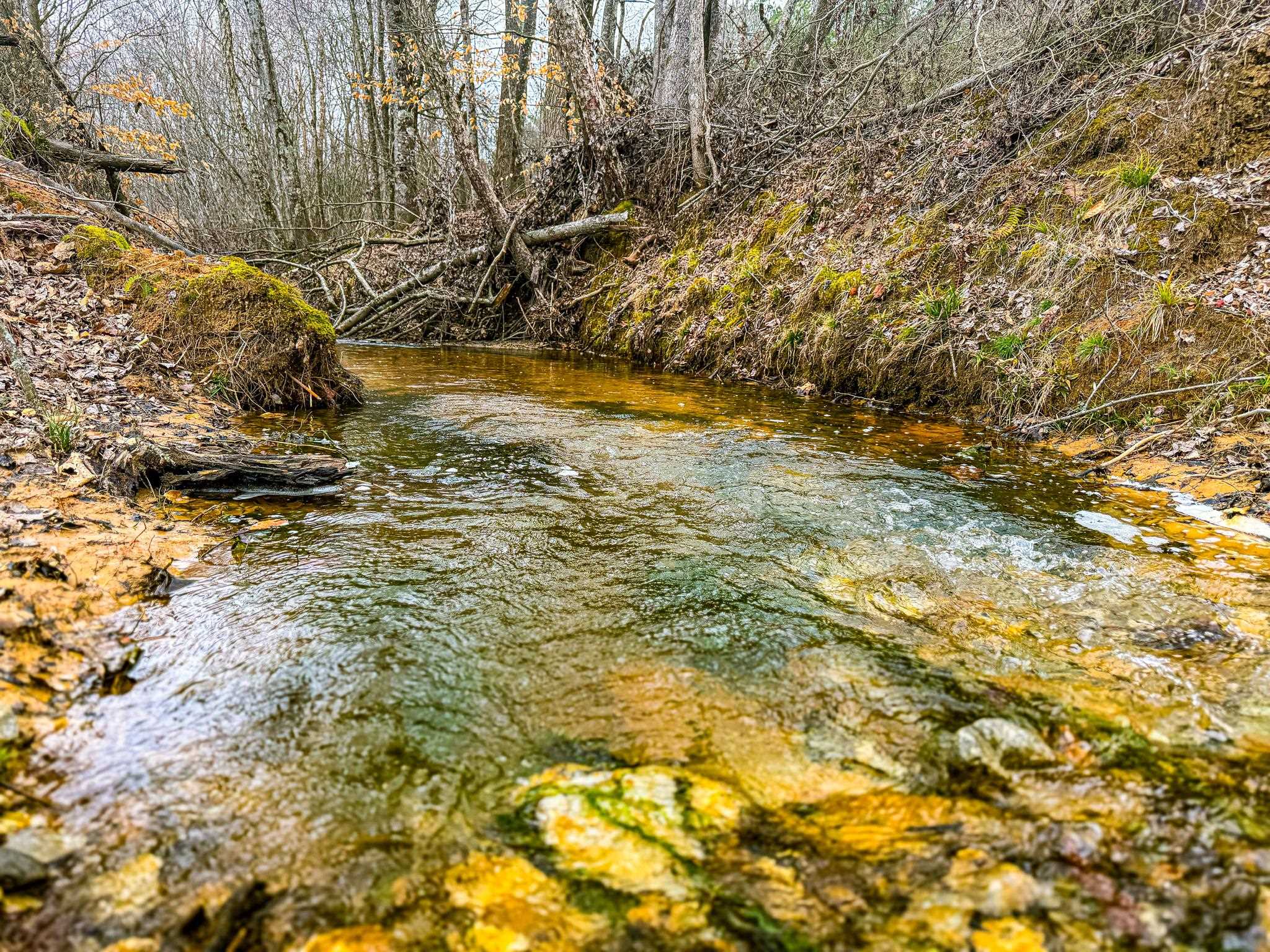 0 Jones Mill Crossland Road Puryear, TN 38251 - Photo 28 of 40 Water view