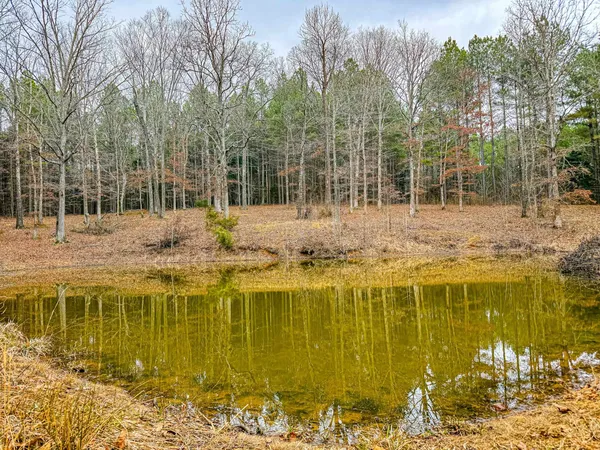 $1,235,307 | 0 Jones Mill Crossland Road, Puryear, TN 38251
