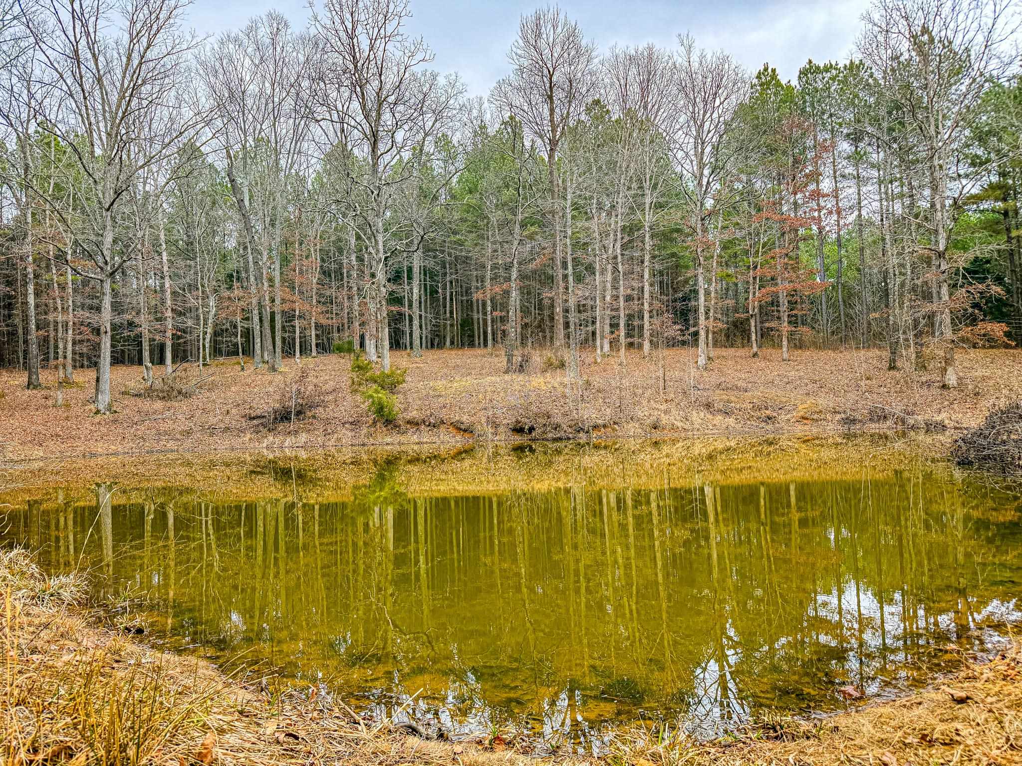 0 Jones Mill Crossland Road Puryear, TN 38251 - Photo 29 of 40 a swimming pool view with a lake view