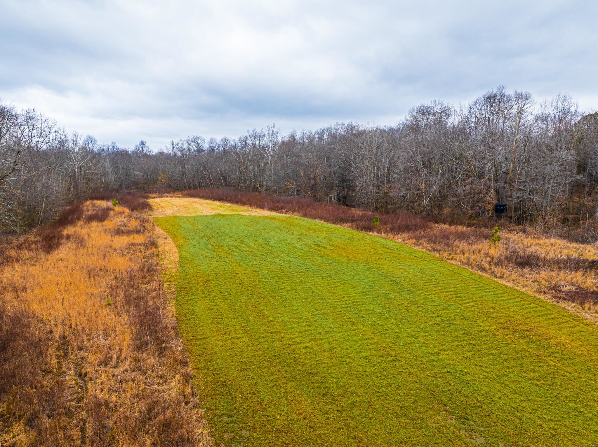 0 Jones Mill Crossland Road Puryear, TN 38251 - Photo 30 of 40 a view of an ocean view