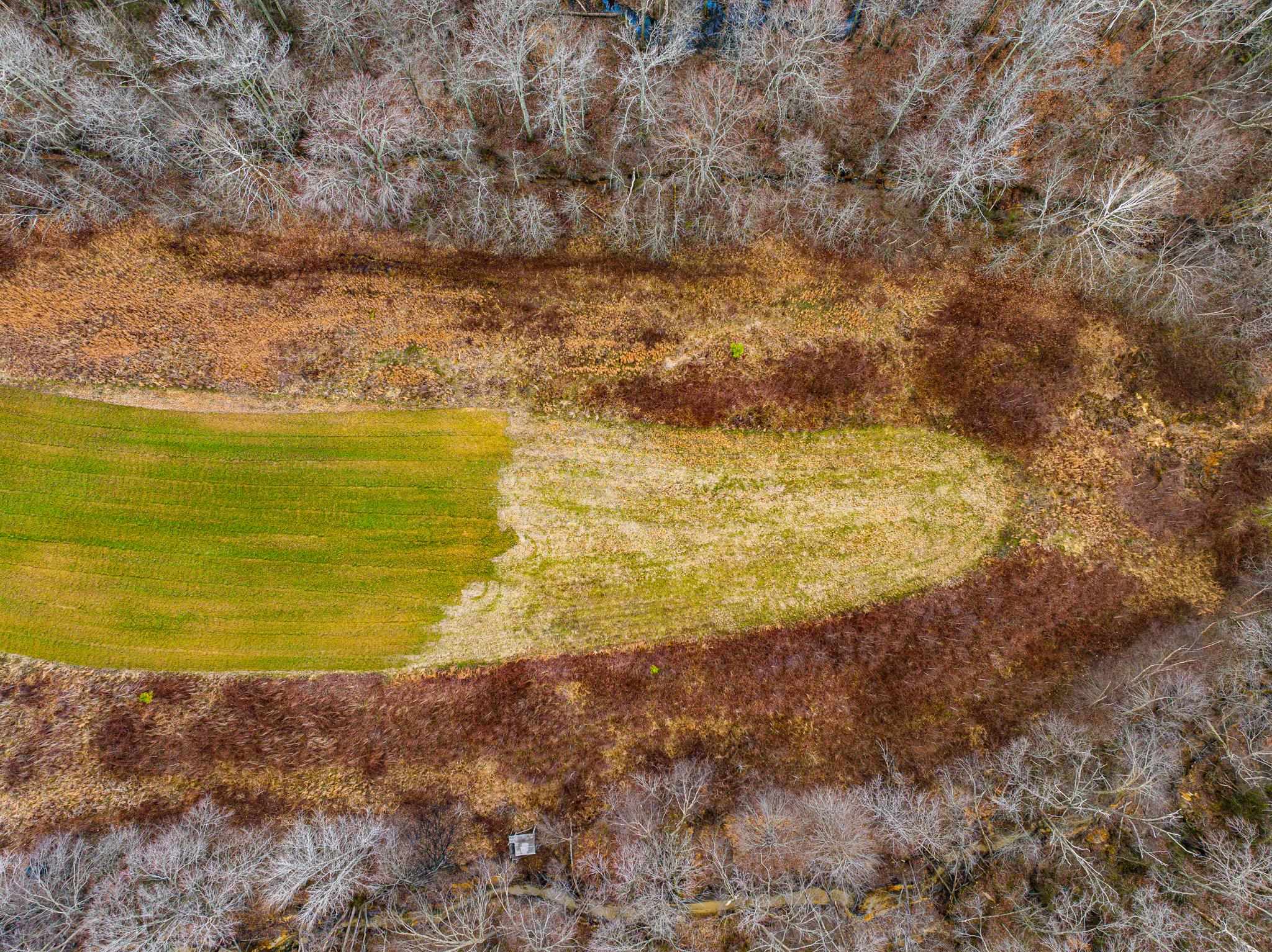 0 Jones Mill Crossland Road Puryear, TN 38251 - Photo 3 of 40 a view of an ocean beach