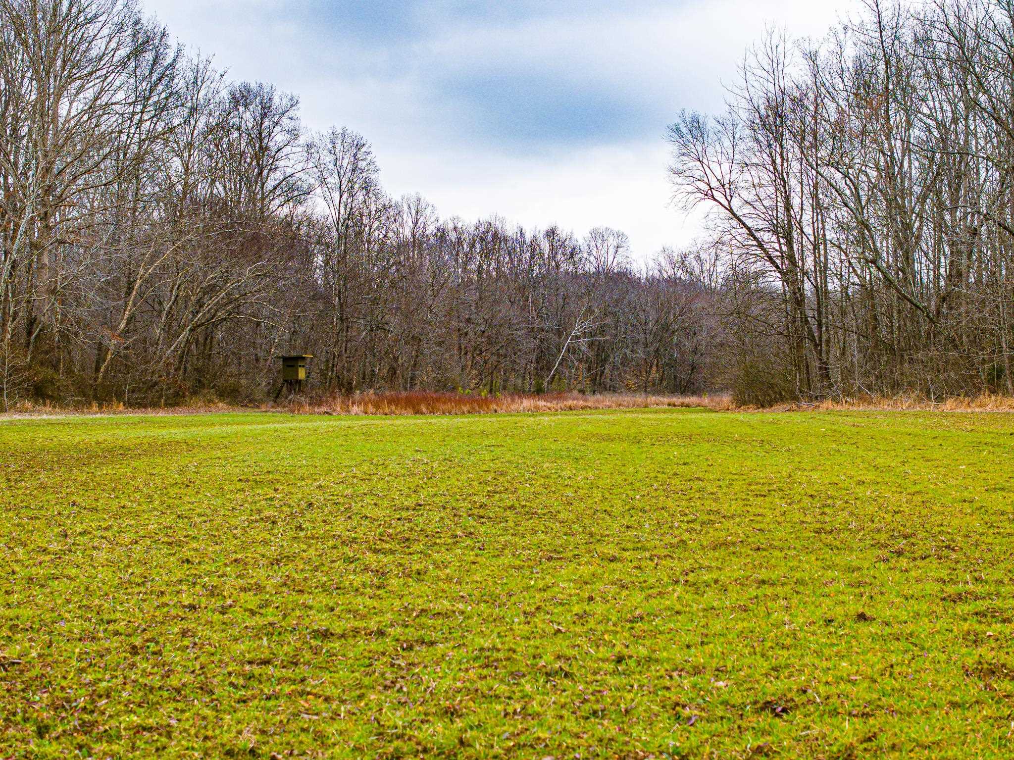 0 Jones Mill Crossland Road Puryear, TN 38251 - Photo 31 of 40 a view of outdoor space with yard and trees all around