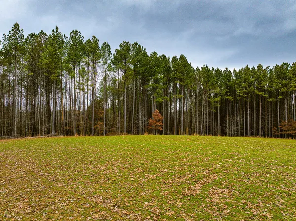 $1,235,307 | 0 Jones Mill Crossland Road, Puryear, TN 38251