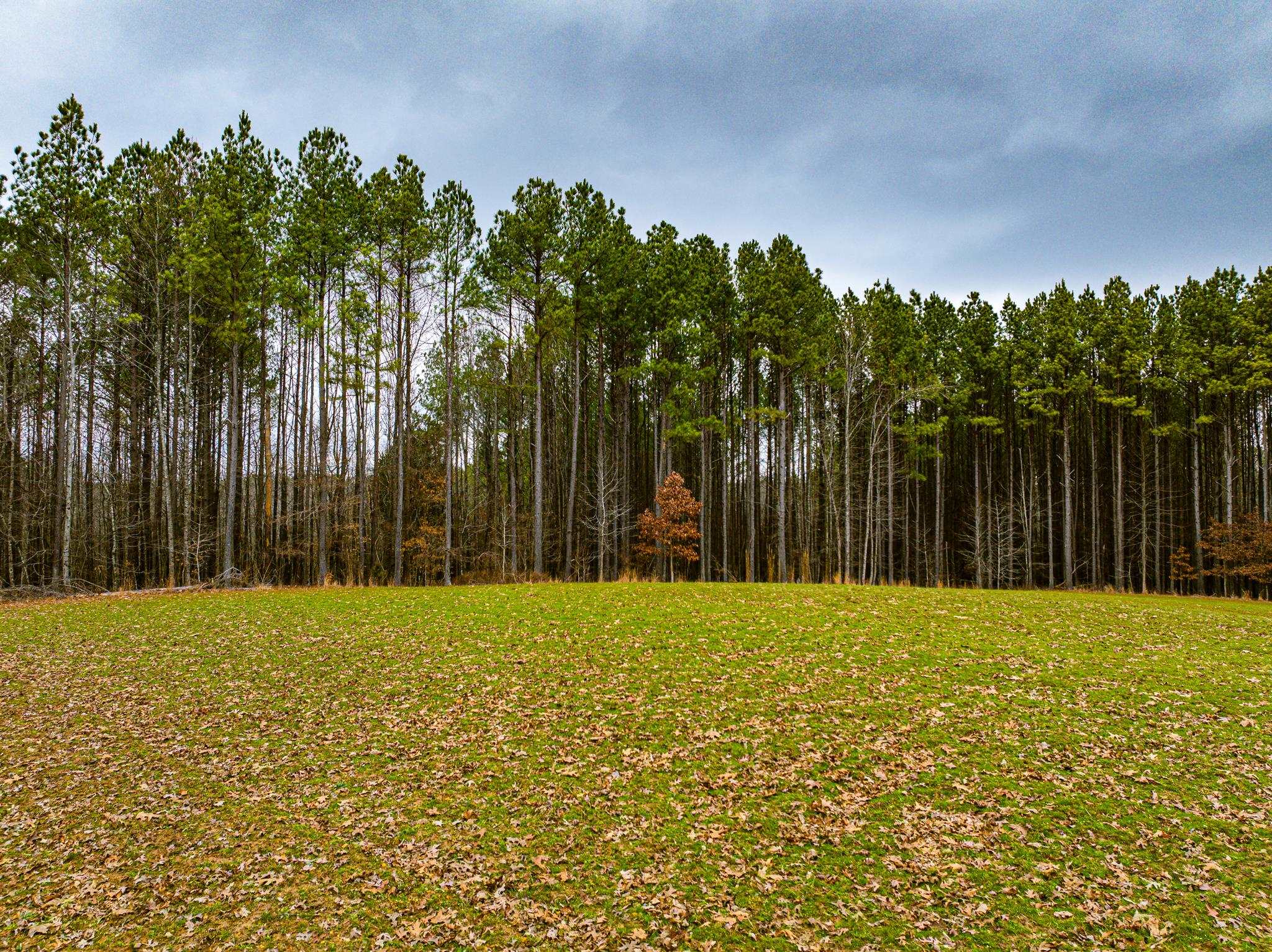 0 Jones Mill Crossland Road Puryear, TN 38251 - Photo 33 of 40 a view of an outdoor space with yard