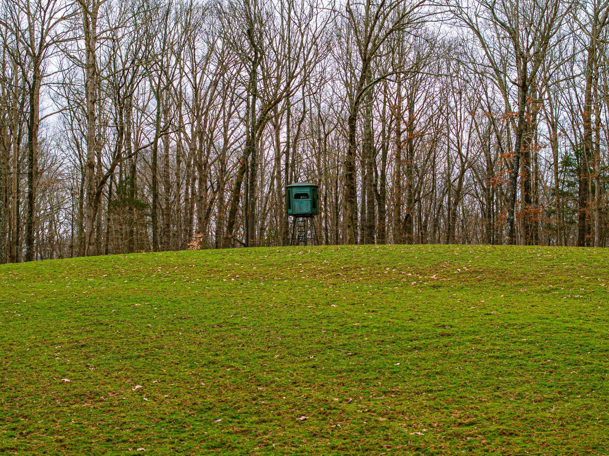 0 Jones Mill Crossland Road Puryear, TN 38251 - Photo 34 of 40 a view of swimming pool and trees in the background