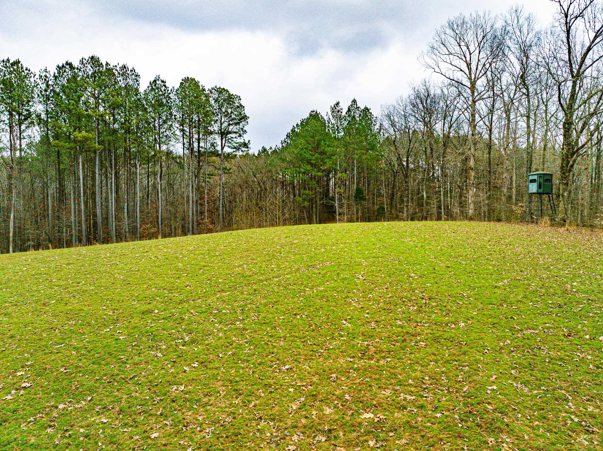 0 Jones Mill Crossland Road Puryear, TN 38251 - Photo 35 of 40 a view of an outdoor space and a yard