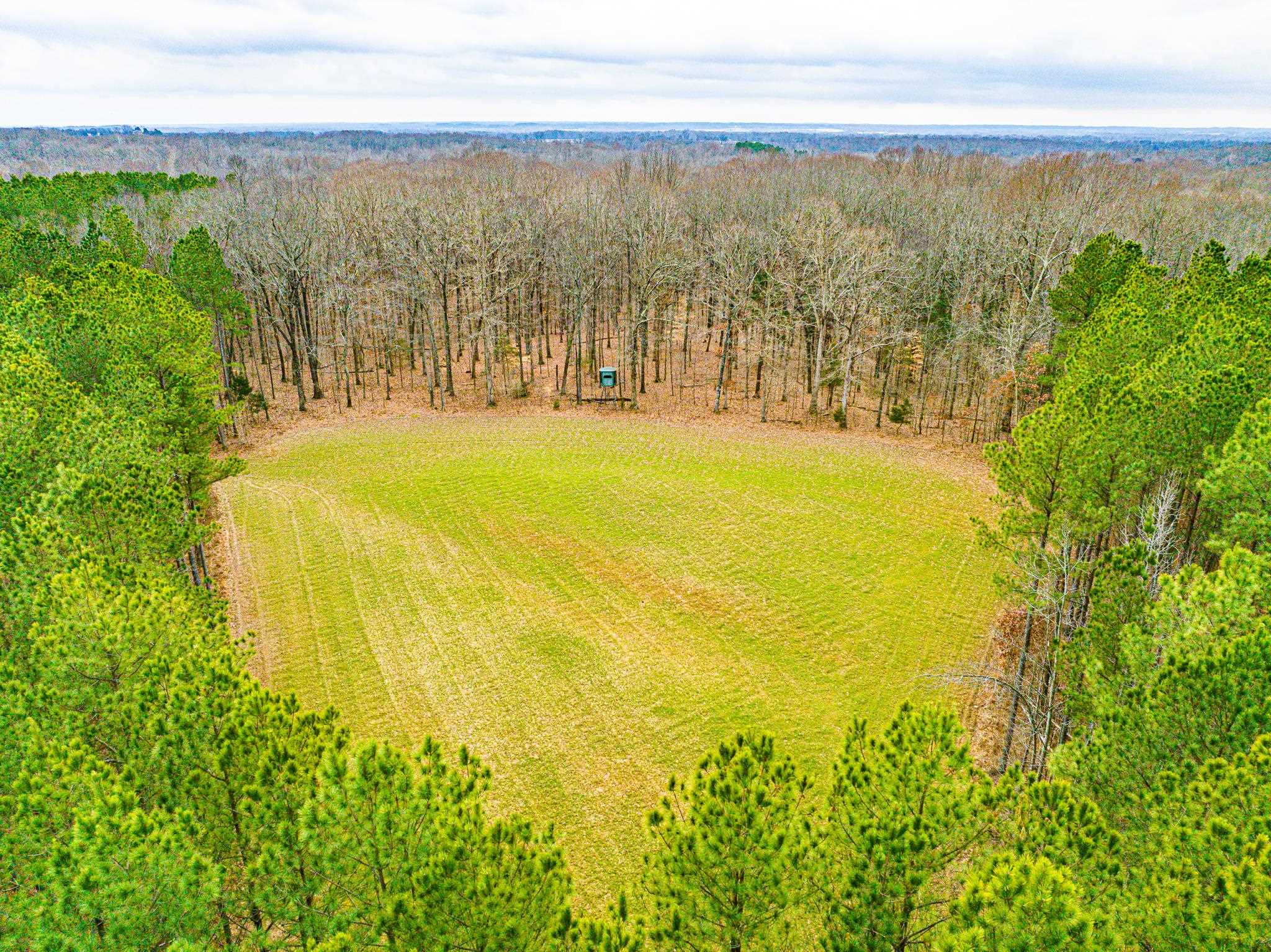0 Jones Mill Crossland Road Puryear, TN 38251 - Photo 36 of 40 a view of an ocean view and mountain view