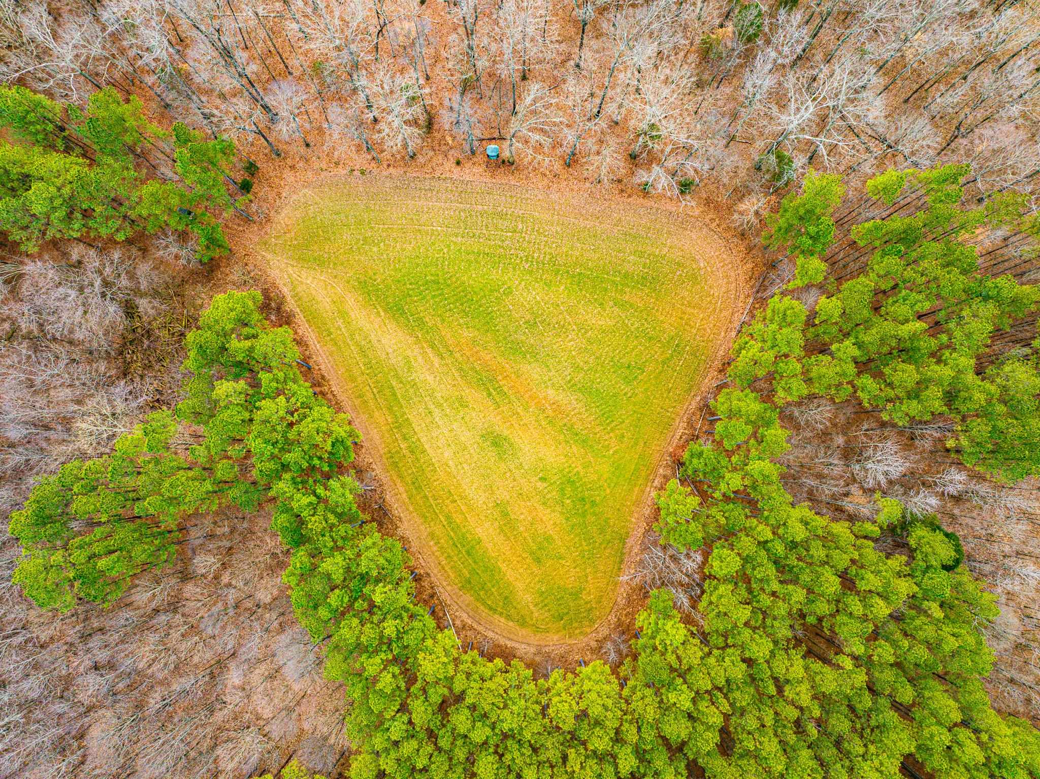 0 Jones Mill Crossland Road Puryear, TN 38251 - Photo 37 of 40 a view of yard with swimming pool