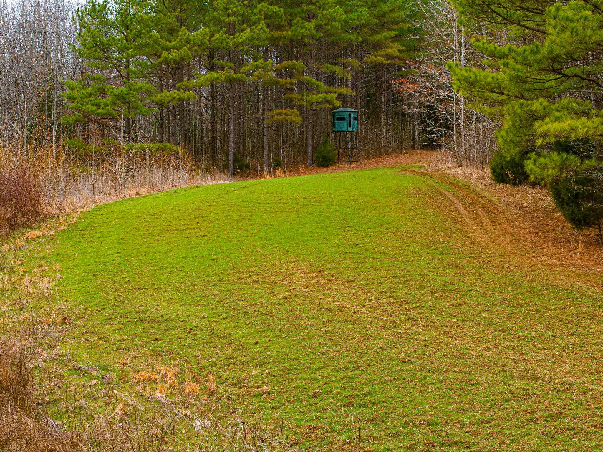 0 Jones Mill Crossland Road Puryear, TN 38251 - Photo 4 of 40 View of green lawn