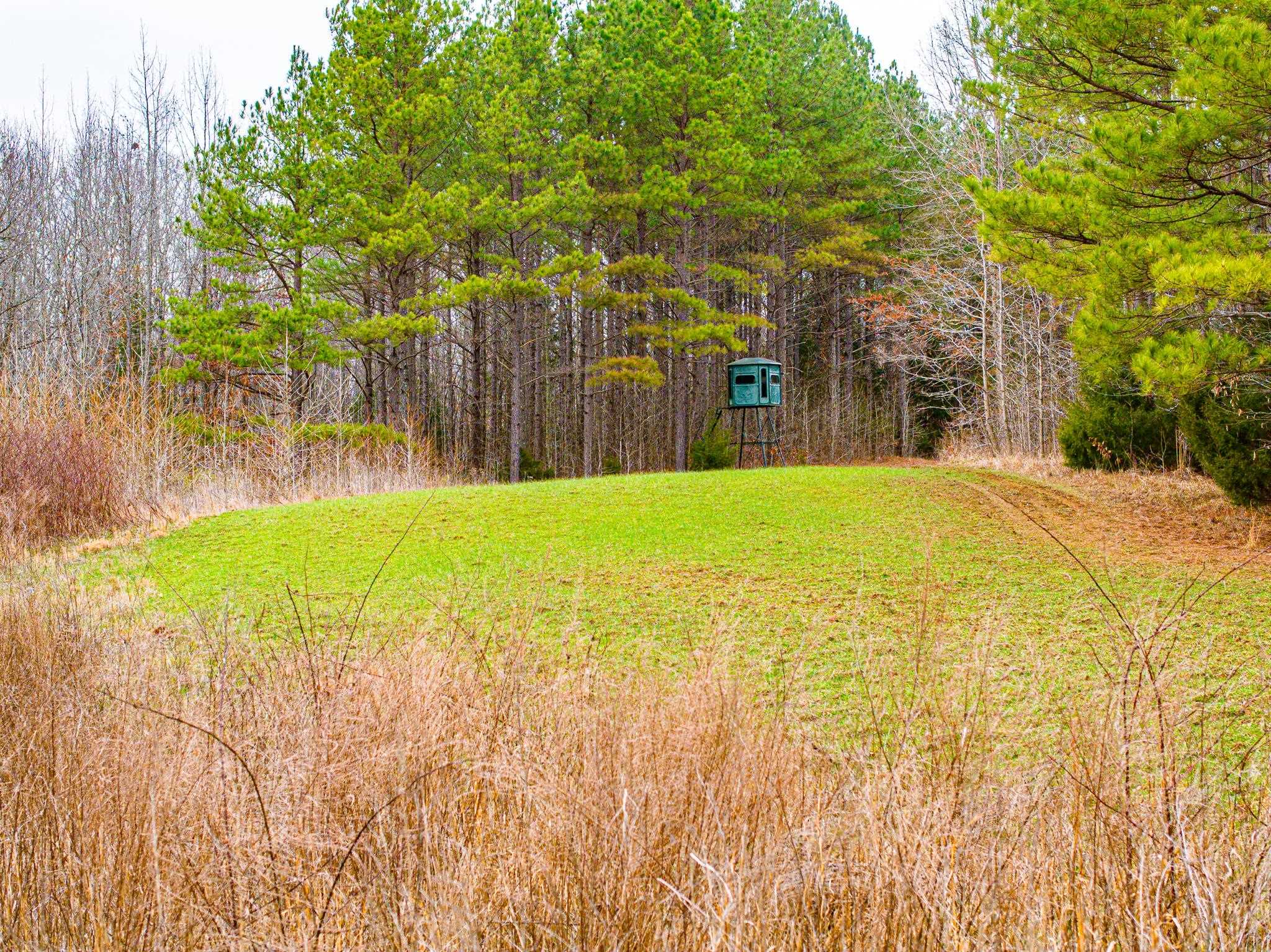 0 Jones Mill Crossland Road Puryear, TN 38251 - Photo 5 of 40 View of green lawn