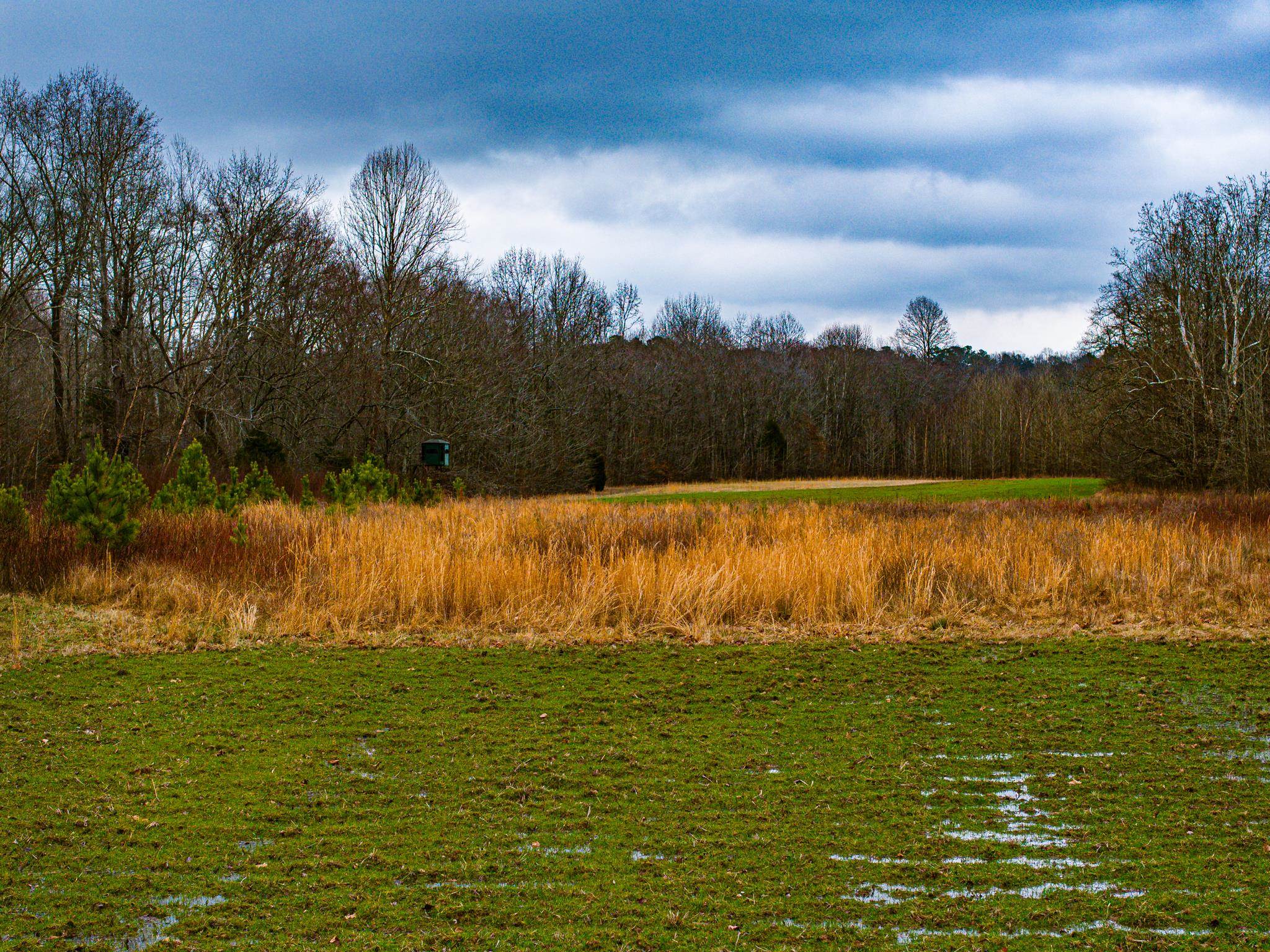 0 Jones Mill Crossland Road Puryear, TN 38251 - Photo 6 of 40 a view of a lake with houses in the back