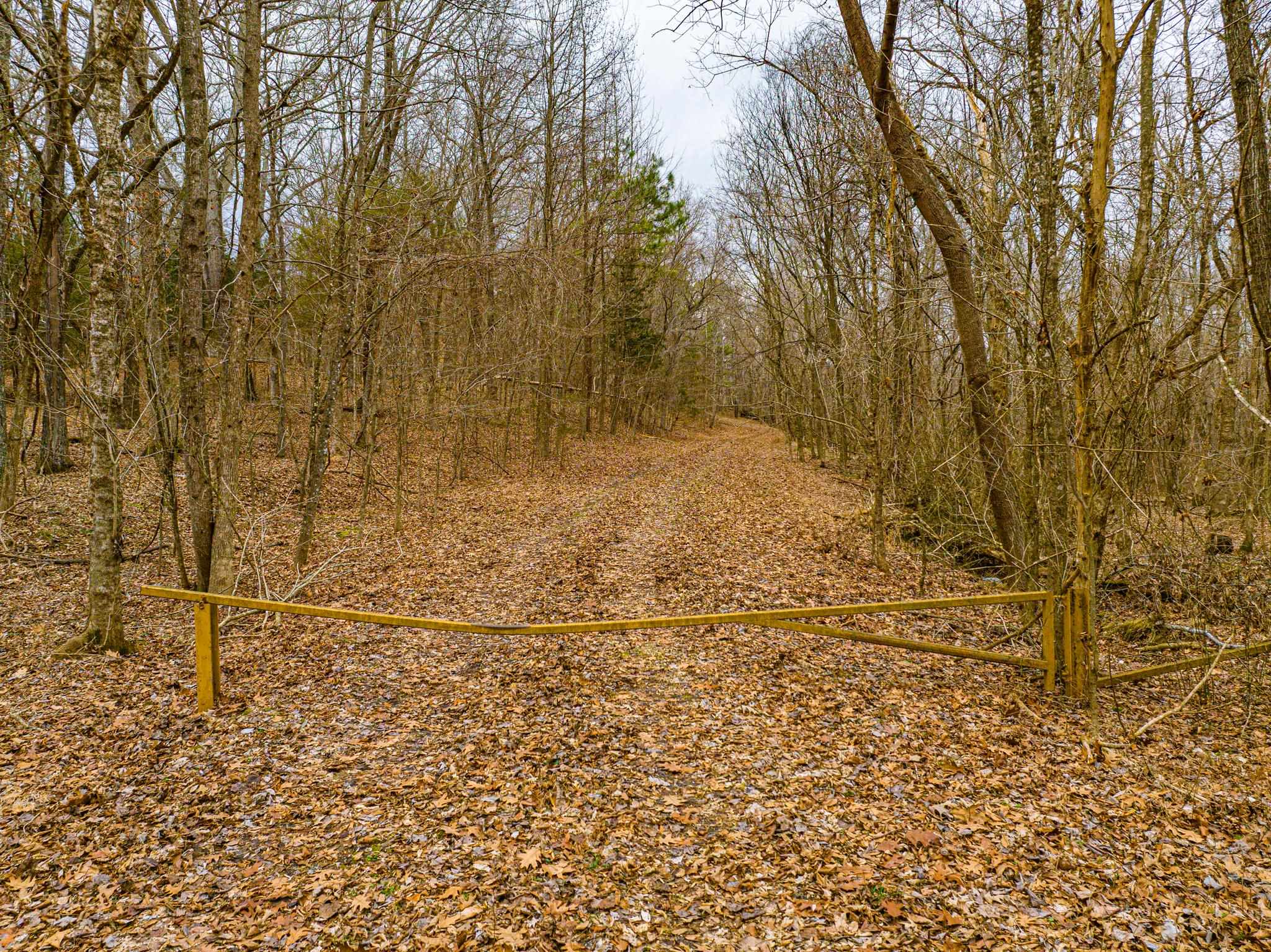 0 Jones Mill Crossland Road Puryear, TN 38251 - Photo 8 of 40 View of street