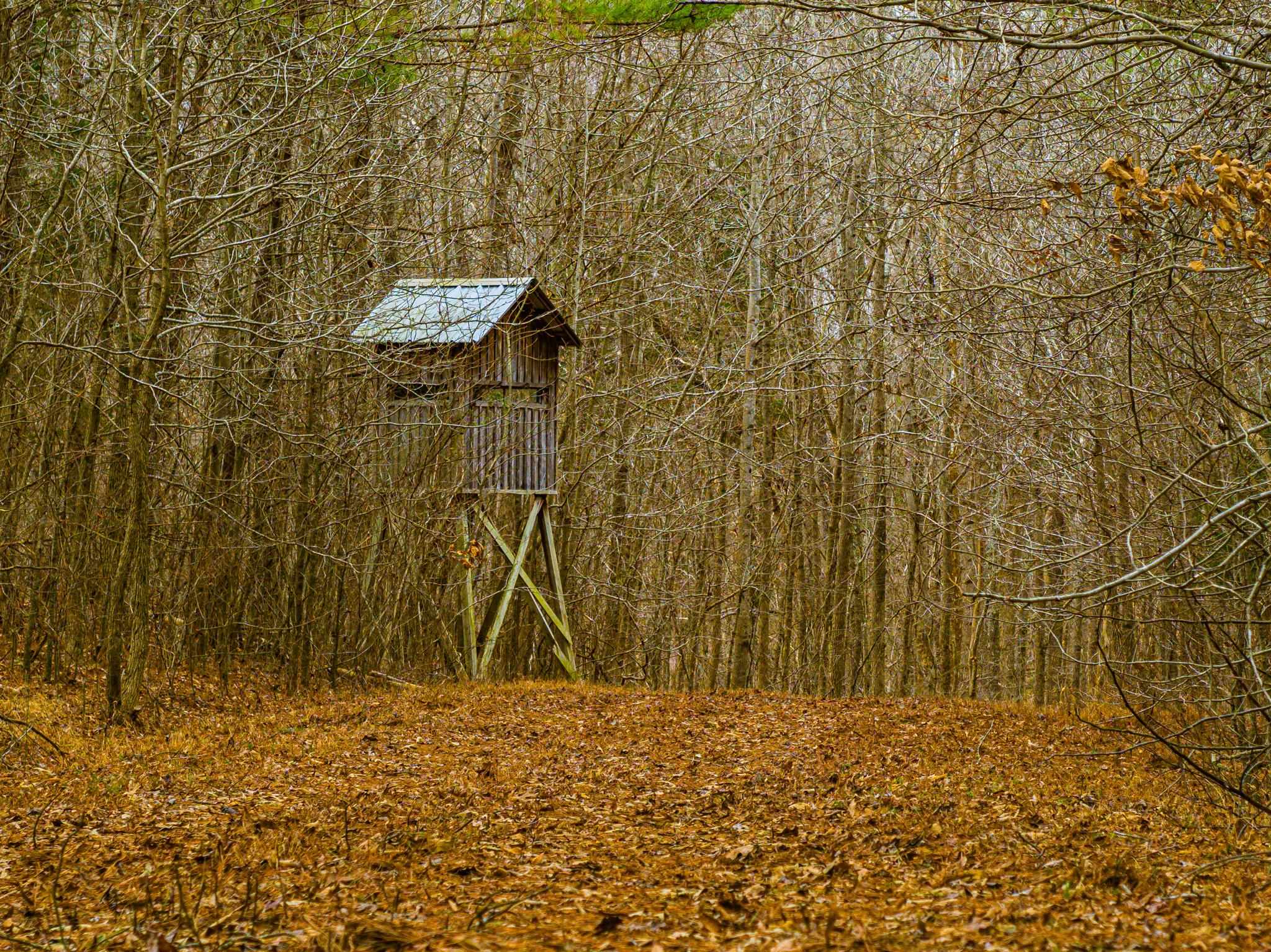 0 Jones Mill Crossland Road Puryear, TN 38251 - Photo 9 of 40 View of outdoor structure