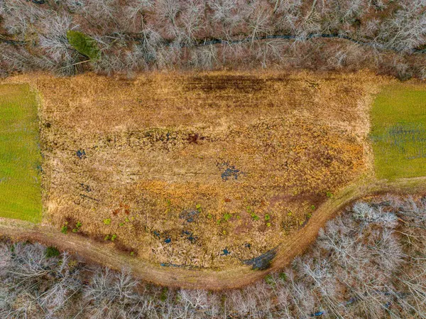 a view of a yard with an ocean