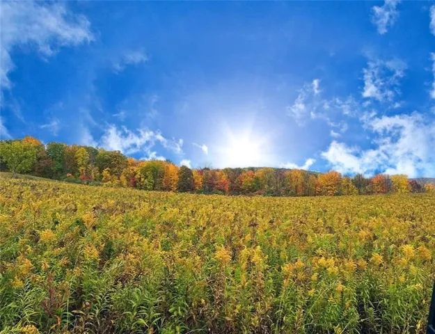 $215,000 | 788 Sagetown Road, Southport, NY 14871