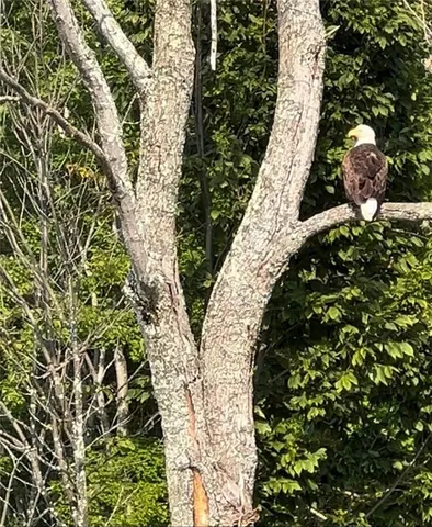 $215,000 | 788 Sagetown Road, Southport, NY 14871