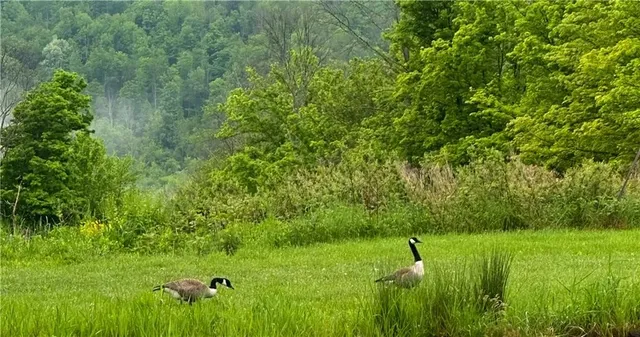 $215,000 | 788 Sagetown Road, Southport, NY 14871