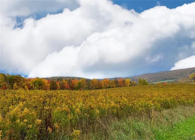 $215,000 | 788 Sagetown Road, Southport, NY 14871