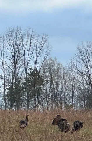 $215,000 | 788 Sagetown Road, Southport, NY 14871