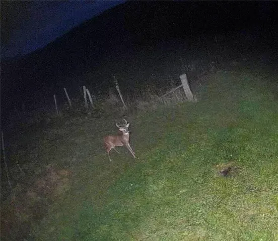 $215,000 | 788 Sagetown Road, Southport, NY 14871