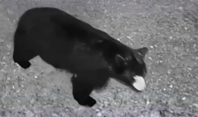 $215,000 | 788 Sagetown Road, Southport, NY 14871