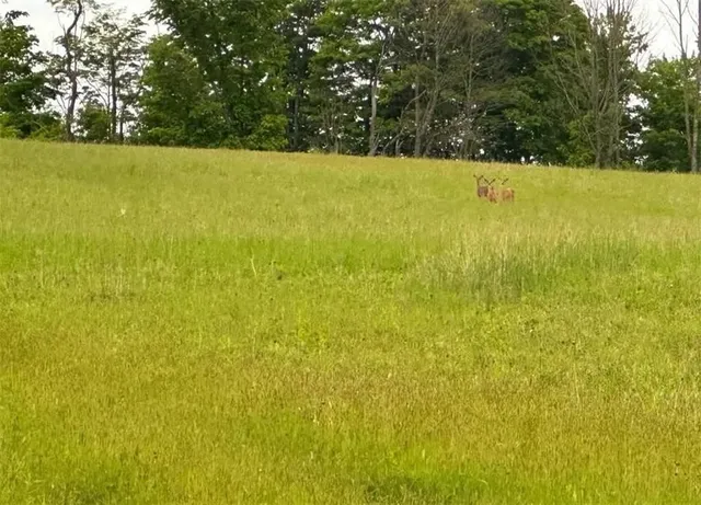 $215,000 | 788 Sagetown Road, Southport, NY 14871