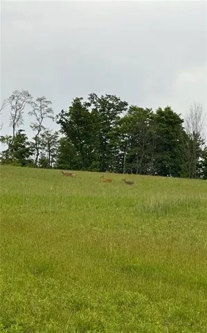 $215,000 | 788 Sagetown Road, Southport, NY 14871