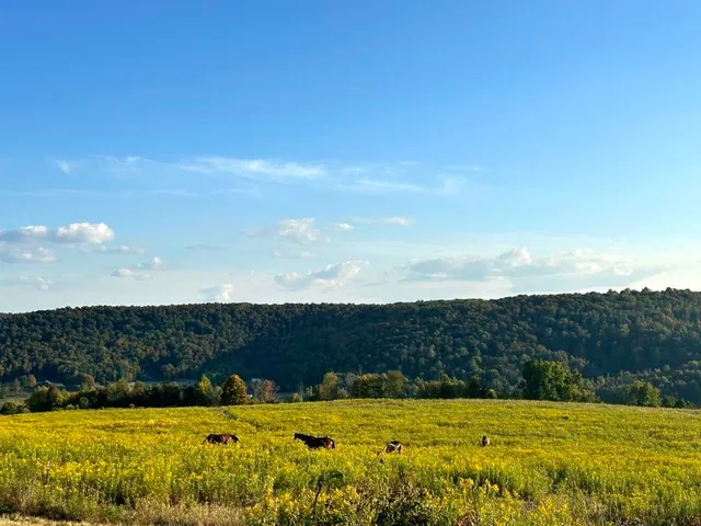 $215,000 | 788 Sagetown Road, Southport, NY 14871