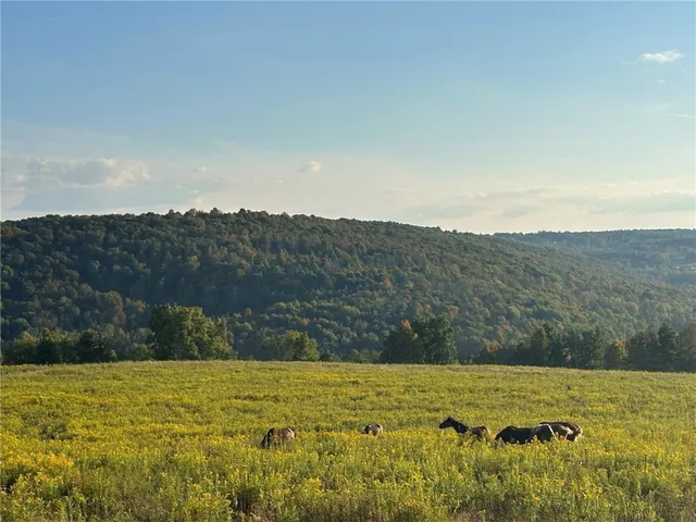 $215,000 | 788 Sagetown Road, Southport, NY 14871